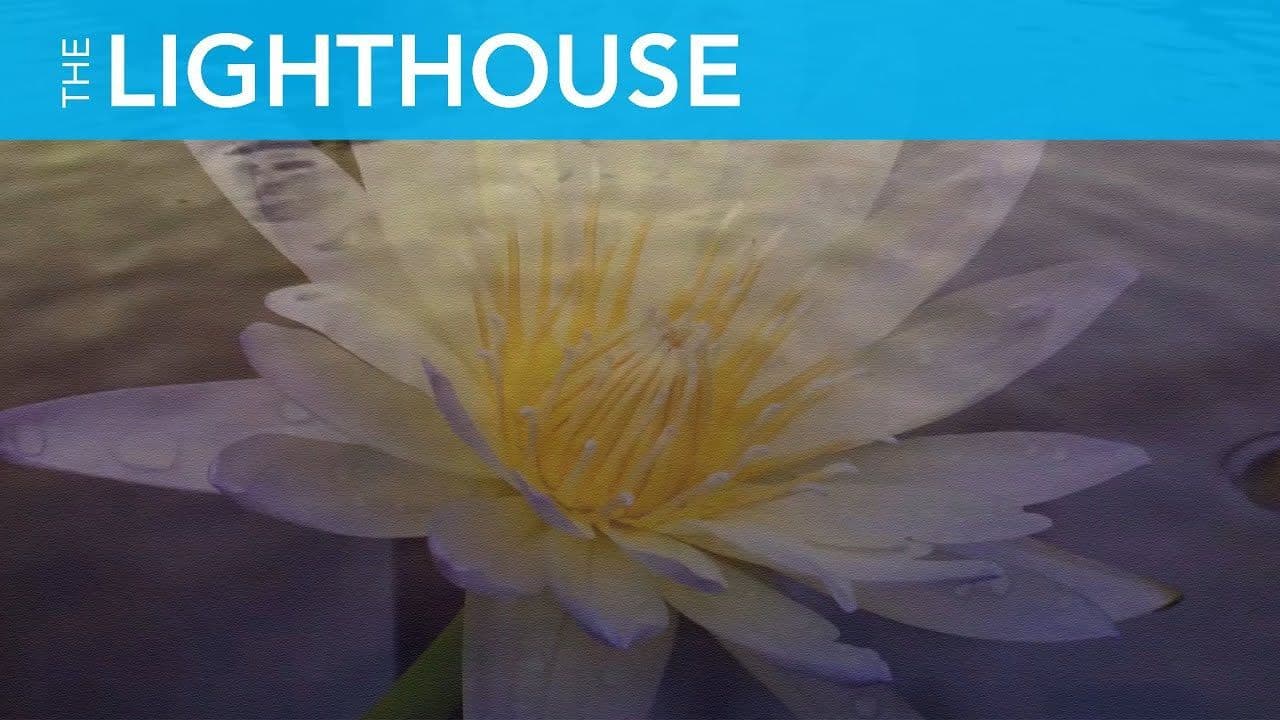 Directing My Life with Wisdom Rose Goodenough