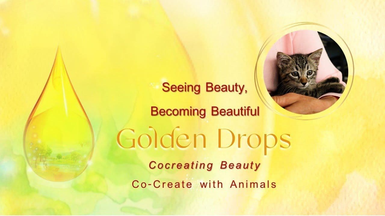 Golden Drops - Co-creating Beauty - Animals